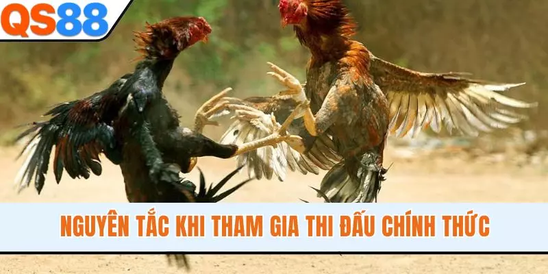 Nguyên tắc khi tham gia thi đấu chính thức